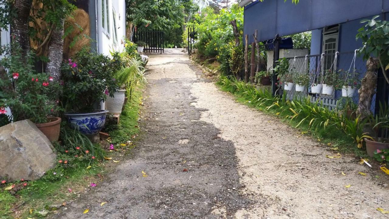 Homestay Doc Tinh Νταλάτ Εξωτερικό φωτογραφία