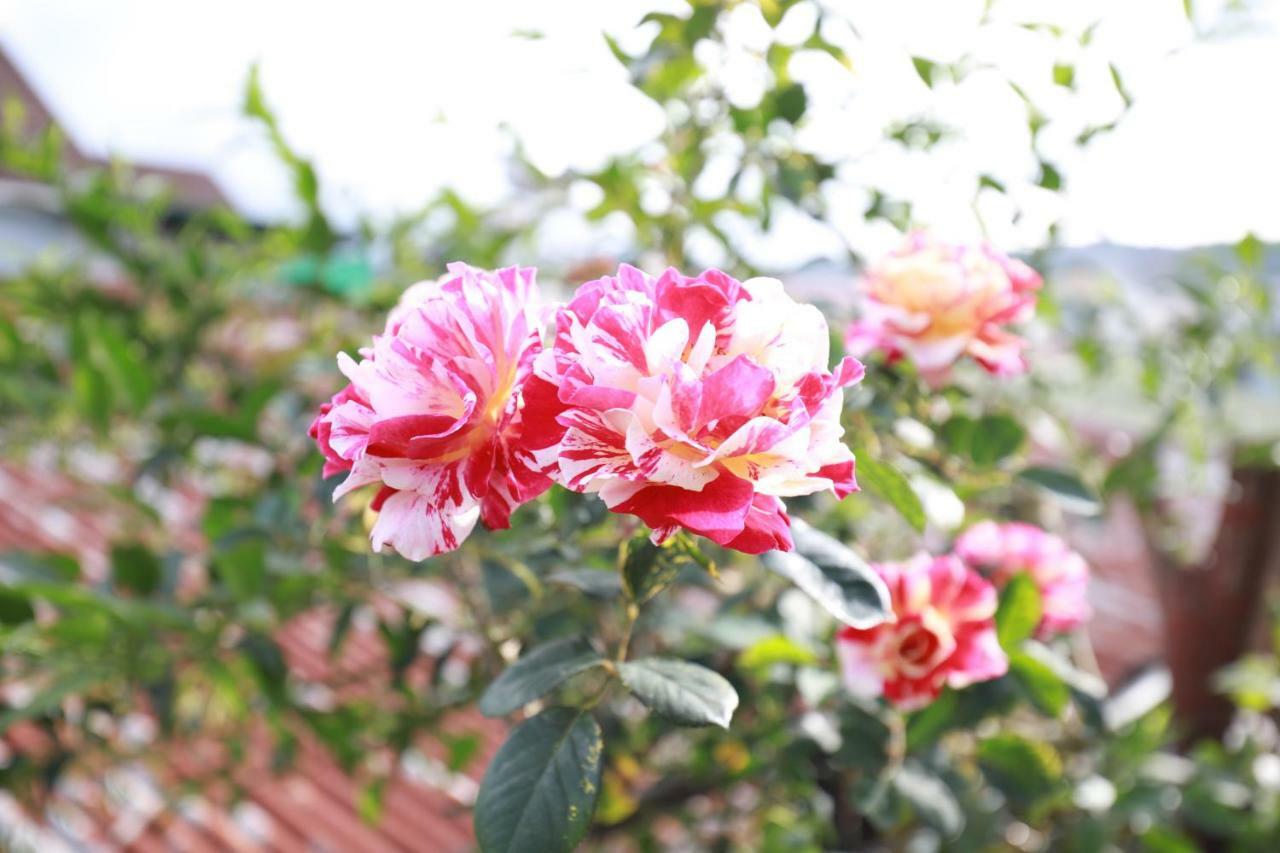 Homestay Doc Tinh Νταλάτ Εξωτερικό φωτογραφία